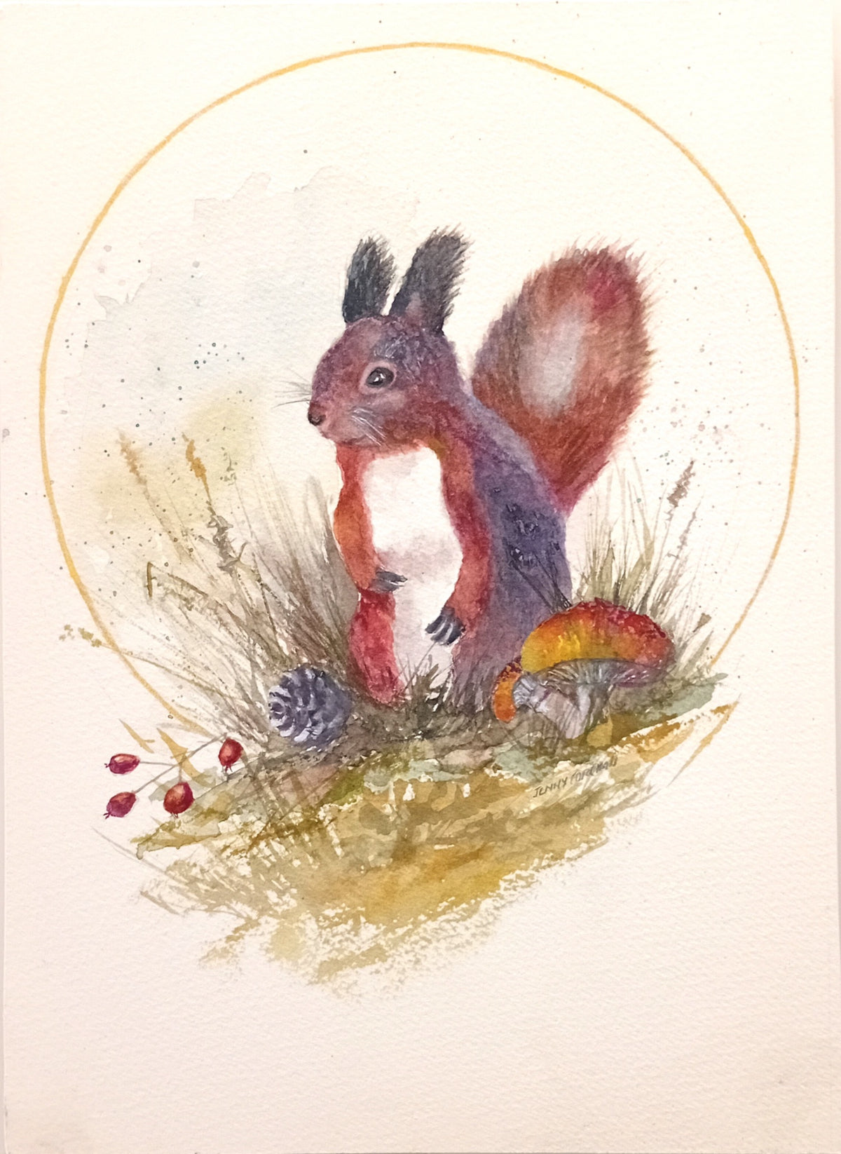 69164a62e1b8ea140711df10_squirrel_1790386374258.jpg