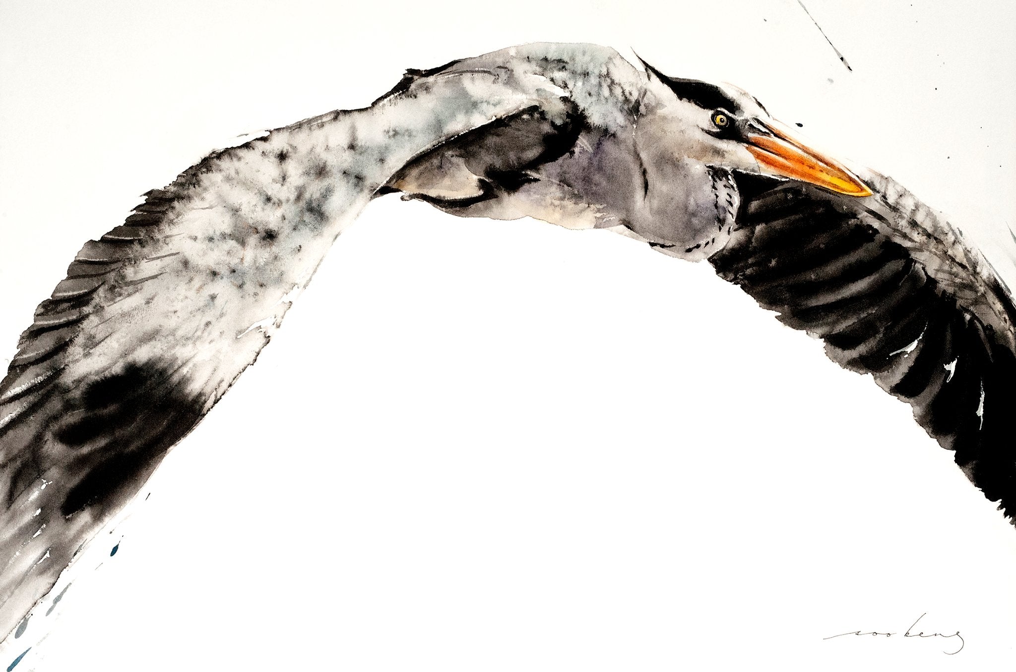 69164a62e1b8ea140711df10_stork-in-flight2_1774910227634.jpg