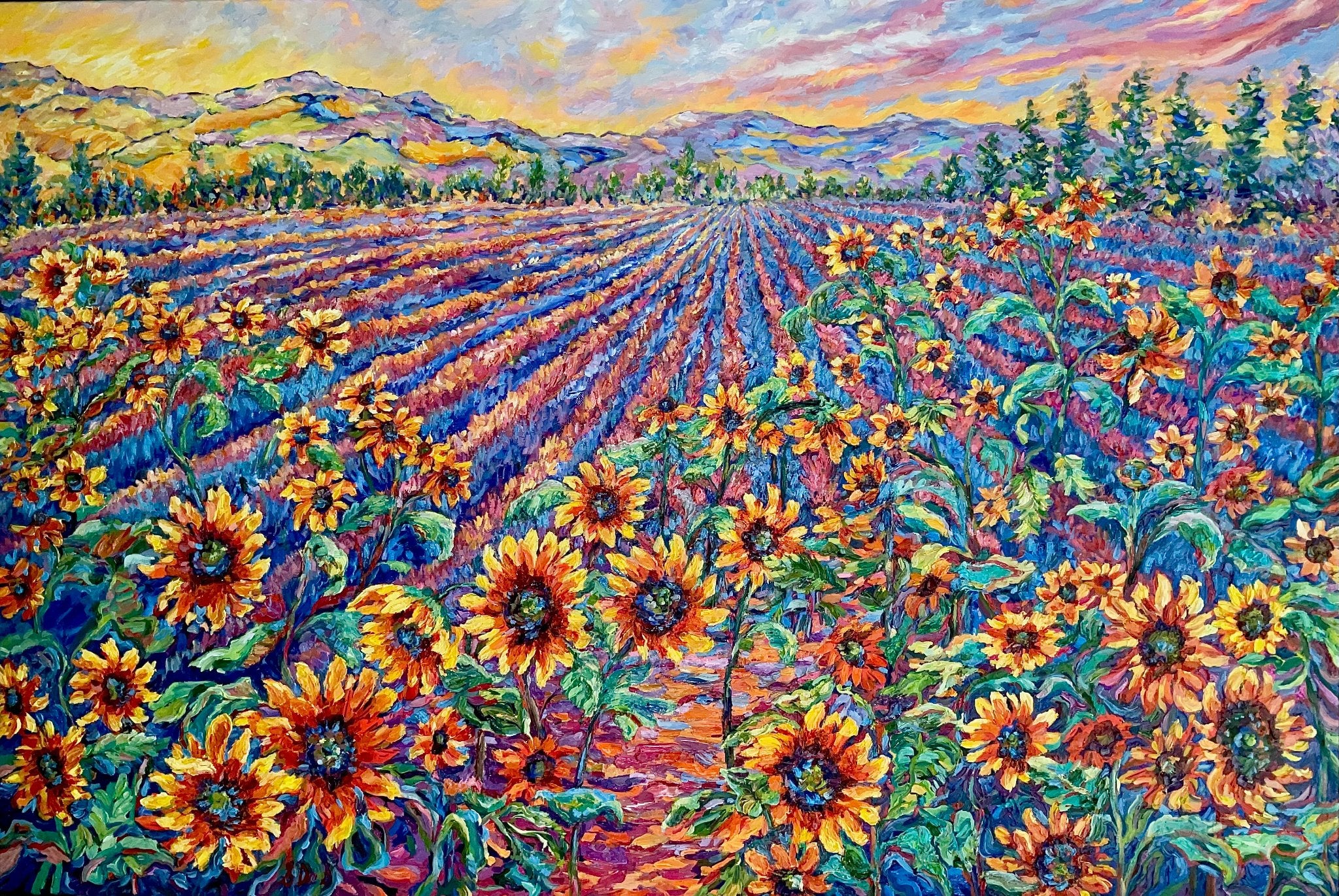 69164a62e1b8ea140711df10_sunfllowert-fields_1775013414269.jpg