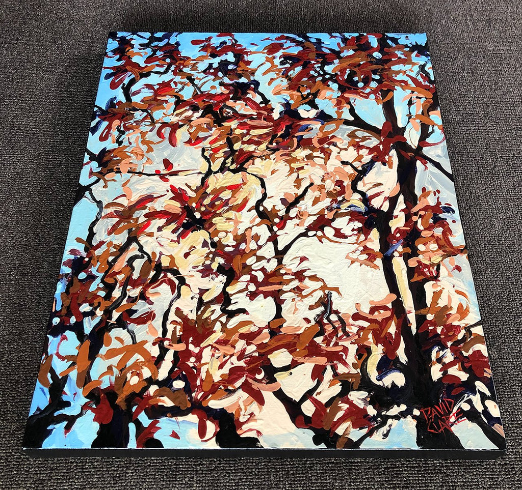 69164a62e1b8ea140711df10_sunlit-trees-bottom-lr_1774855772223.jpg