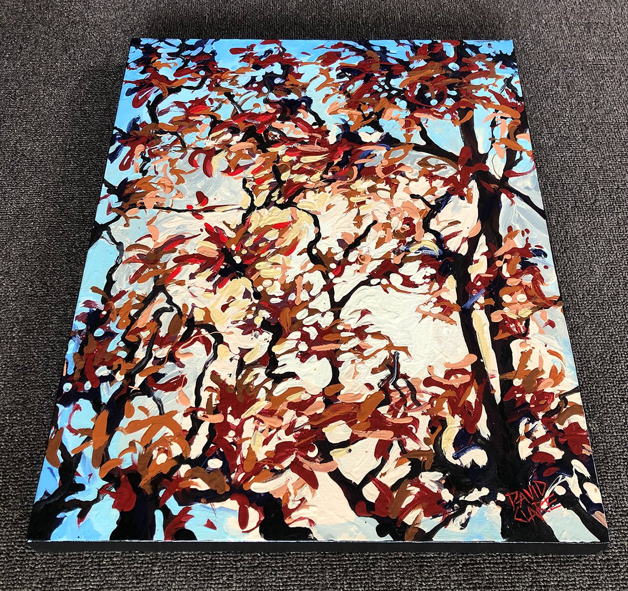 69164a62e1b8ea140711df10_sunlit-trees-bottom-lr_1774855772223.jpg