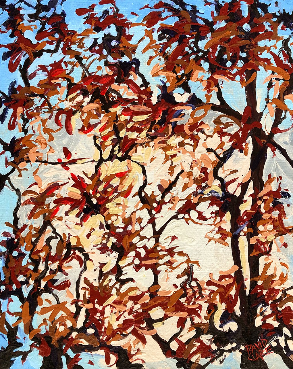 69164a62e1b8ea140711df10_sunlit-trees-lr_1774855772222.jpg