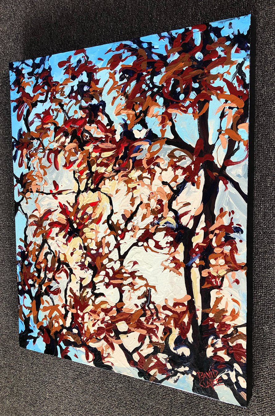 69164a62e1b8ea140711df10_sunlit-trees-rs-lr_1774855772224.jpg