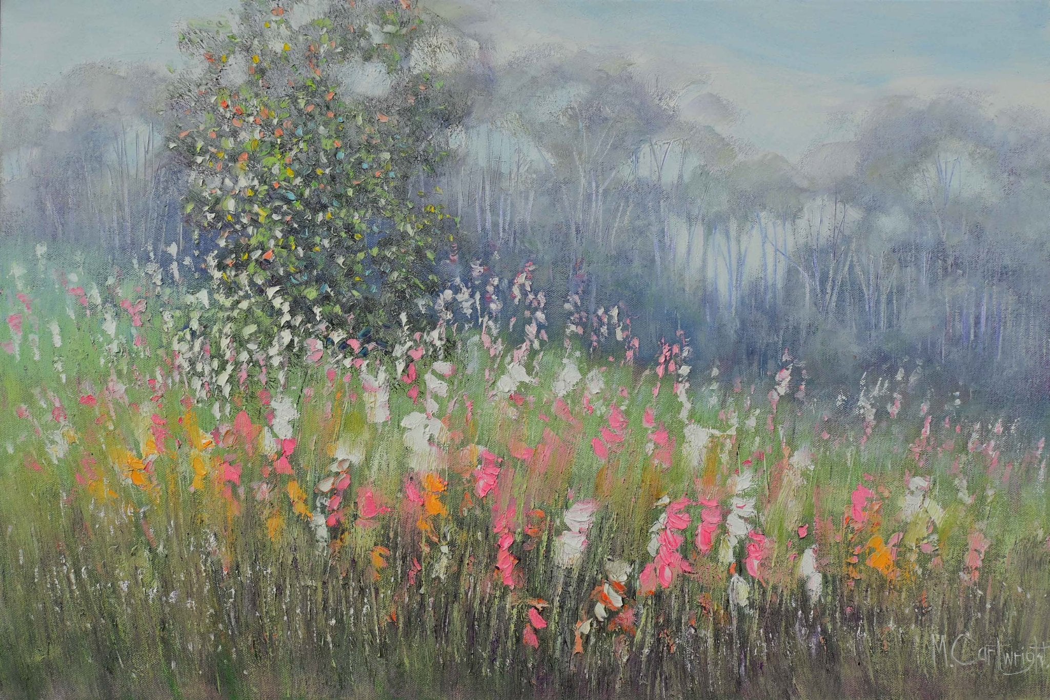 69164a62e1b8ea140711df10_sunshine-and-wildflowers_1777096561432.jpg
