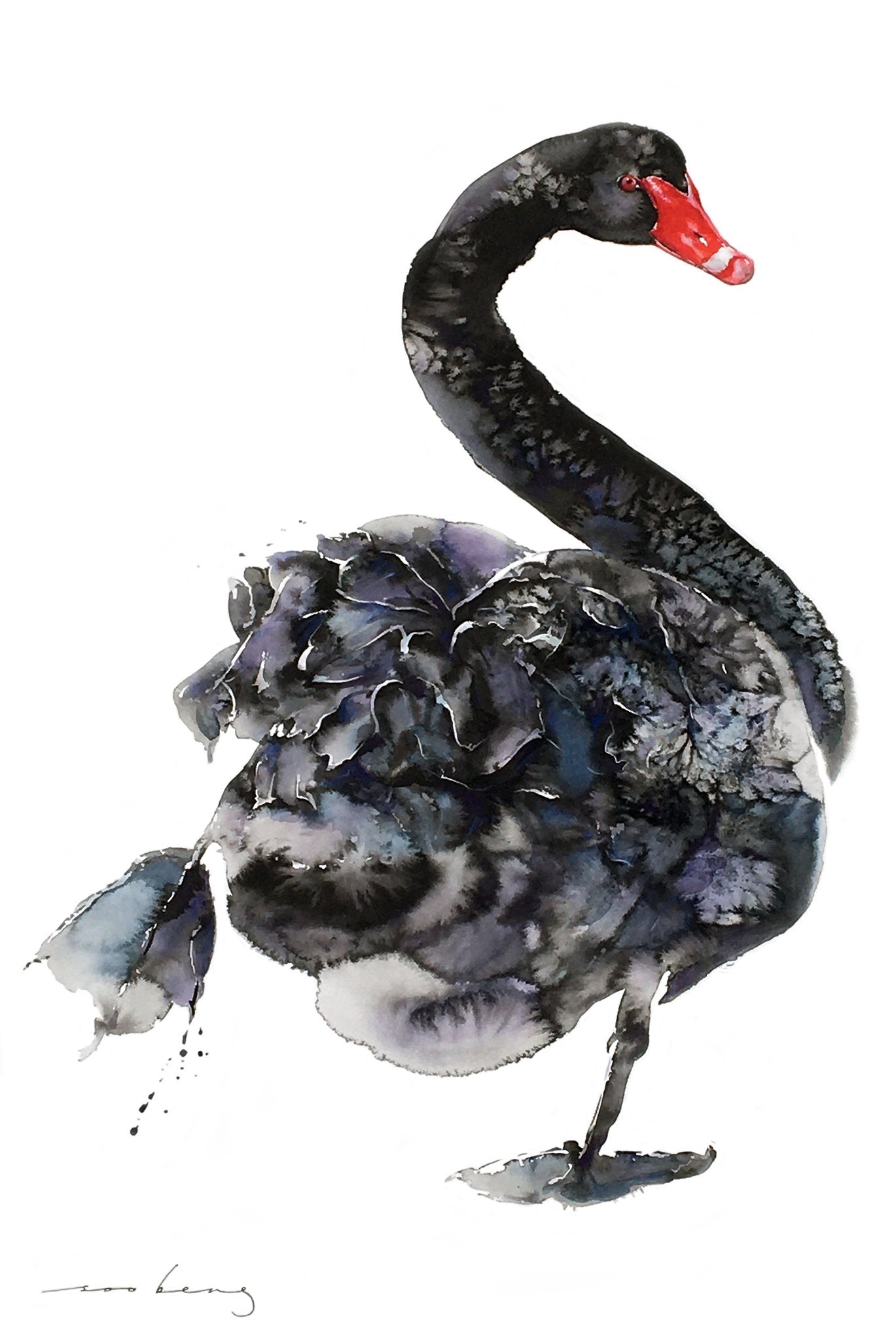 69164a62e1b8ea140711df10_swan-arabesque_1773269829016.jpg