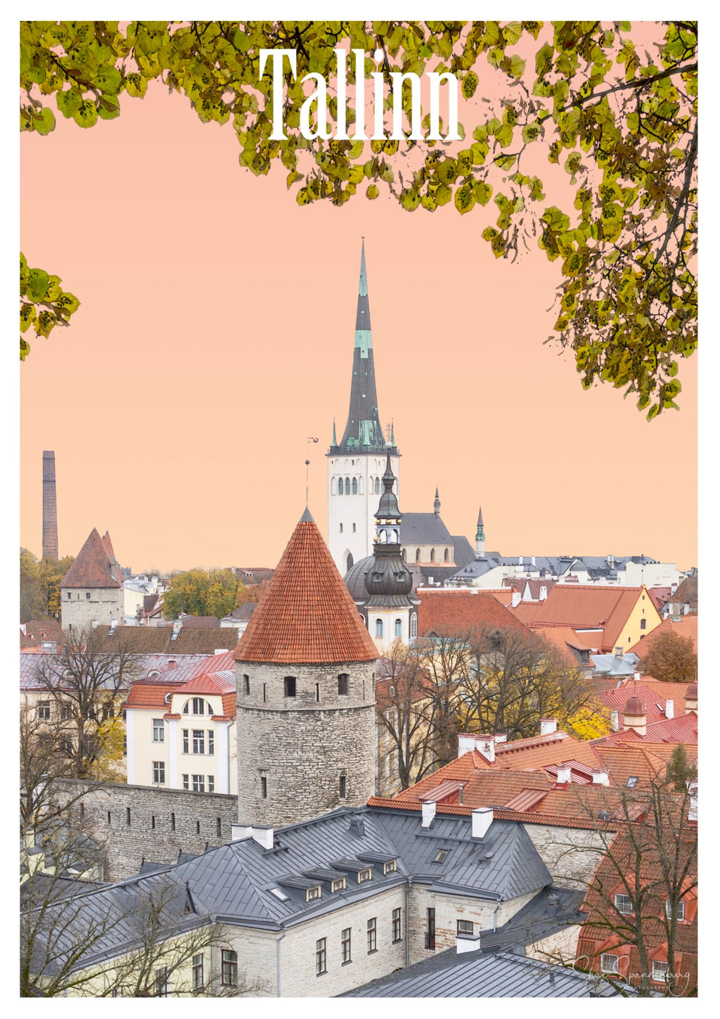 69164a62e1b8ea140711df10_tallinna4-copy_1786689887856.jpg