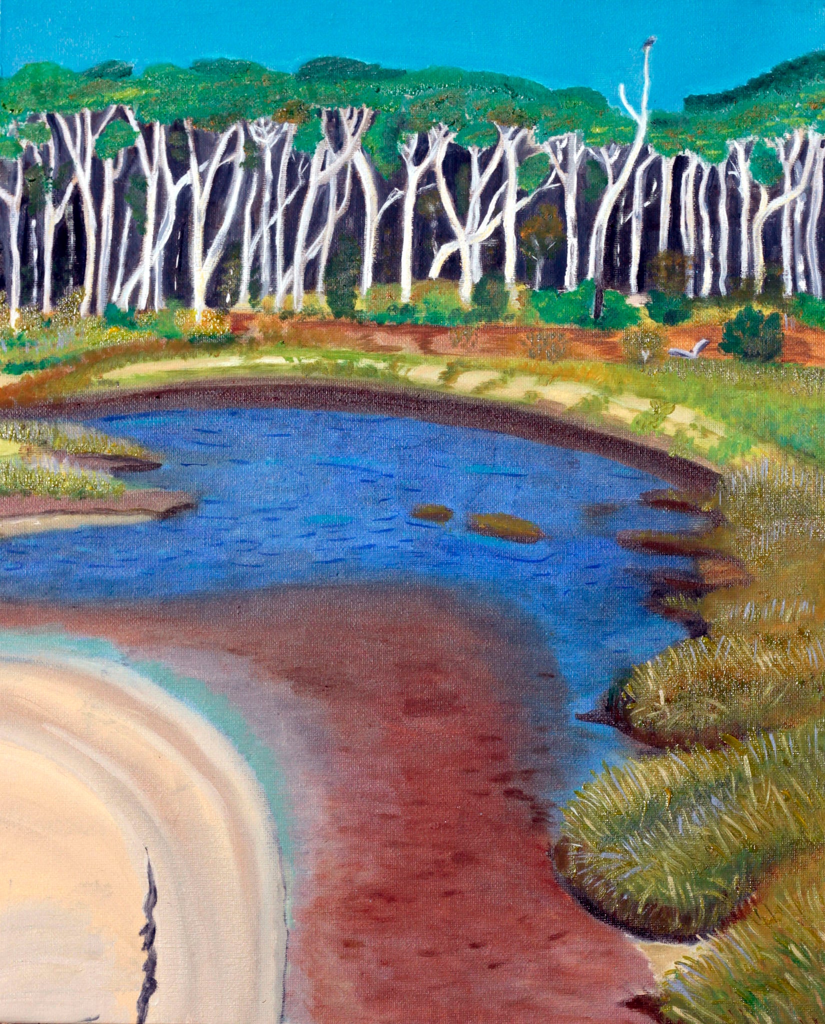 69164a62e1b8ea140711df10_tea-tree-creek-stradbroke_1778738037753.jpg