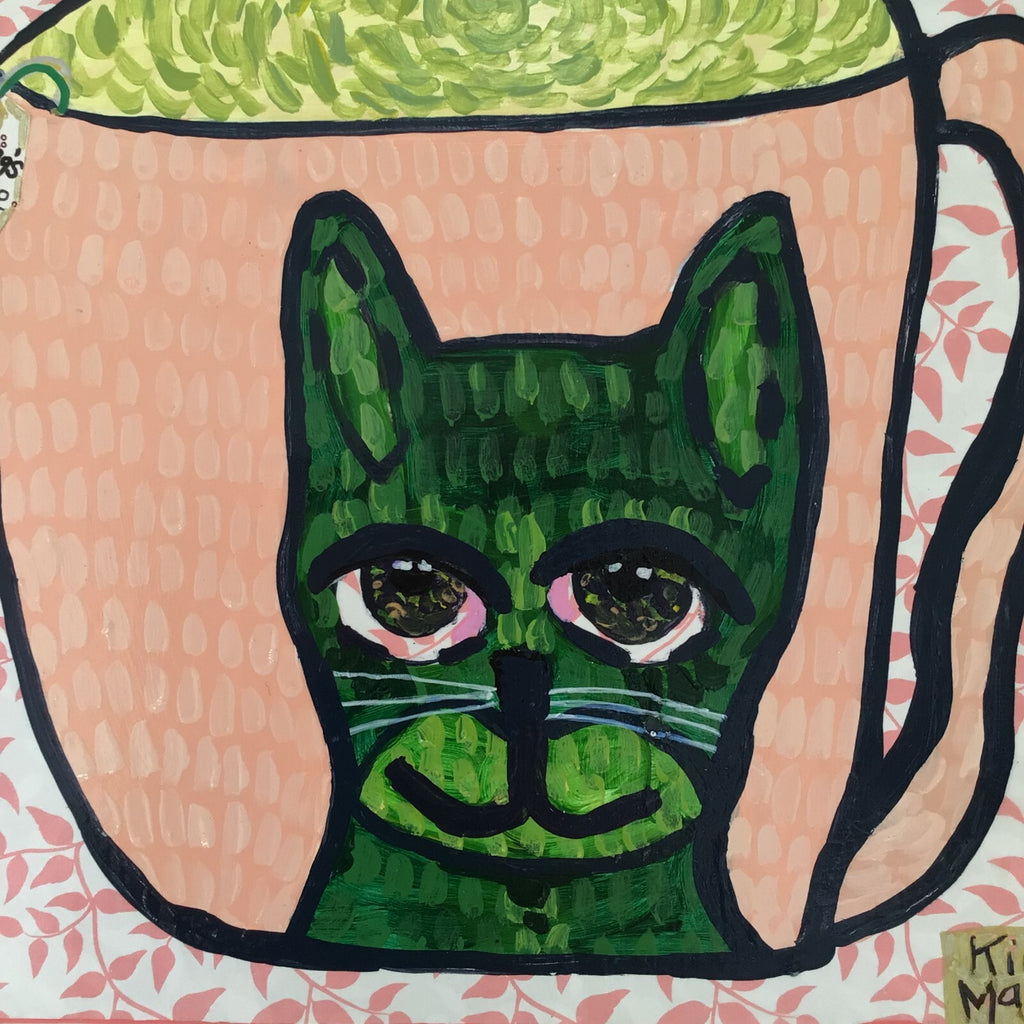 69164a62e1b8ea140711df10_teacat6_1785200136545.jpg