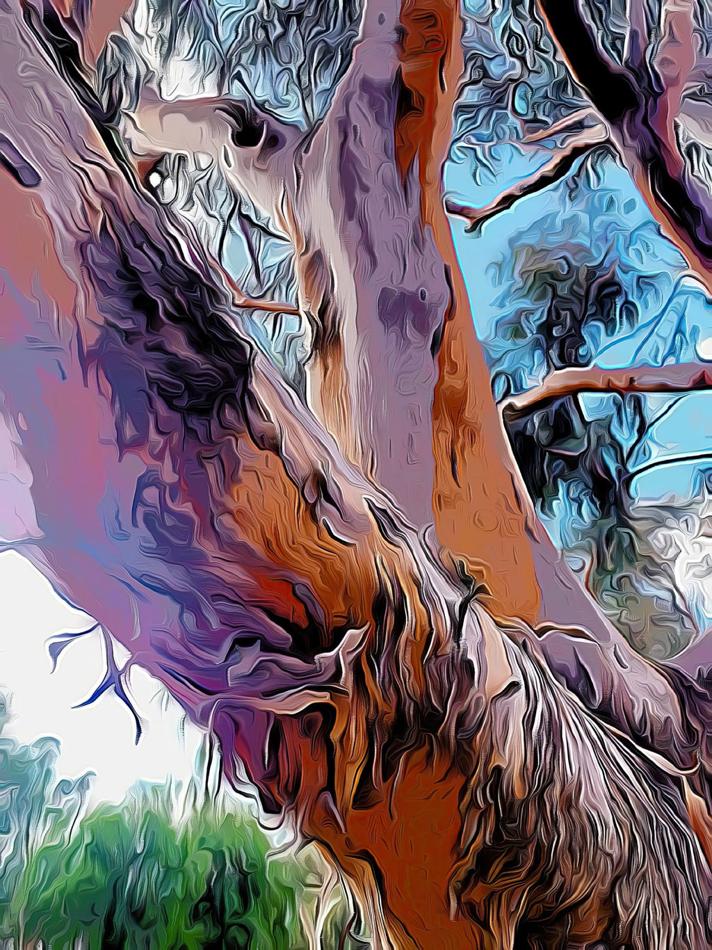 69164a62e1b8ea140711df10_technicolour-river-gum-resized-2_1775188742793.jpg