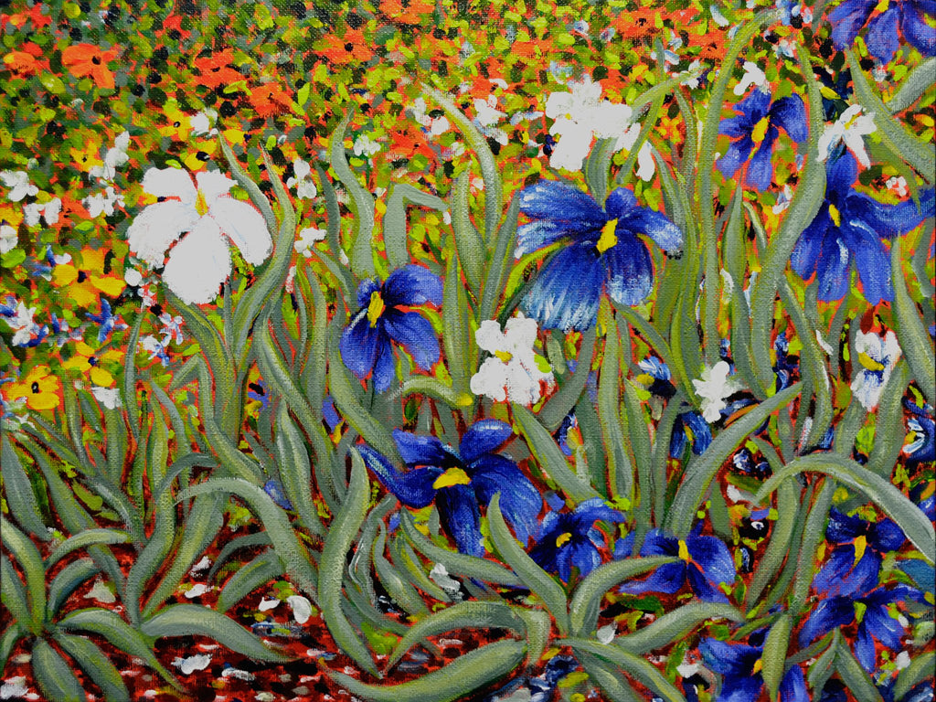 69164a62e1b8ea140711df10_the-blue-iris-garden-m574-30_1777362158394.jpg