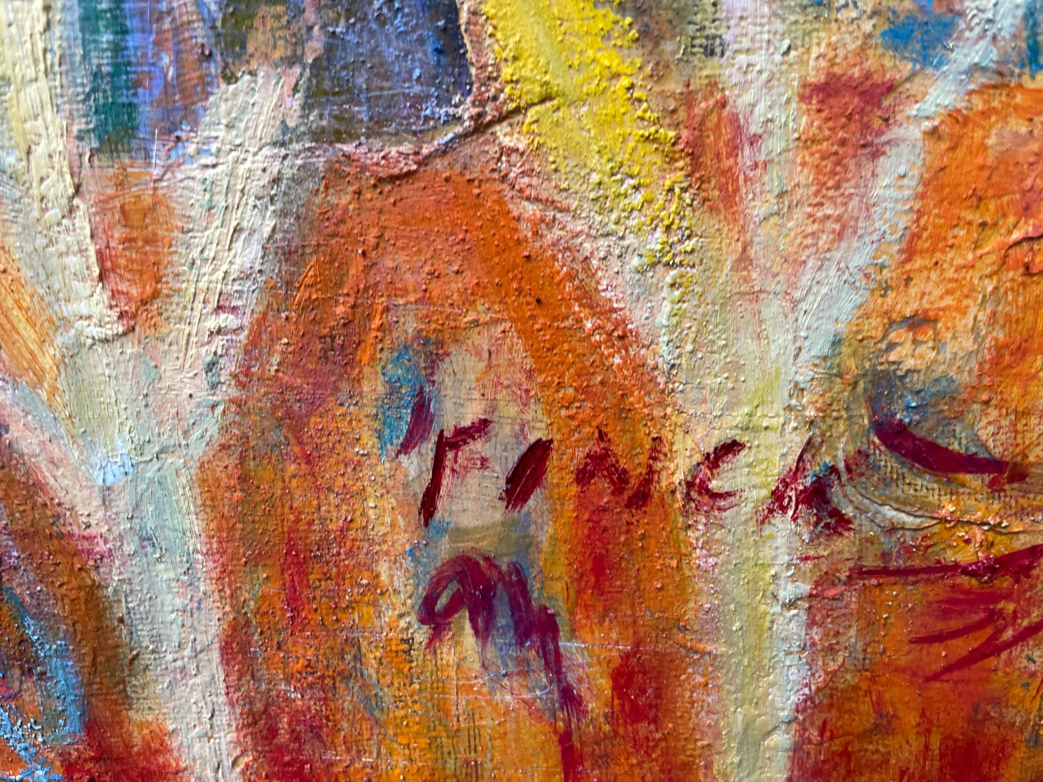 69164a62e1b8ea140711df10_the-colours-of-india-signature_1788082944471.jpg