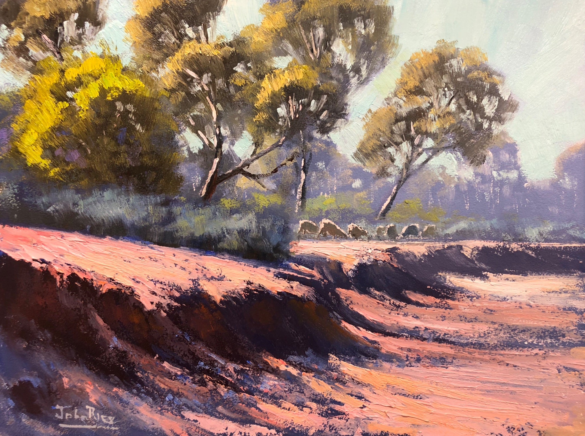 69164a62e1b8ea140711df10_the-dry-creek-bed_1777369160453.jpg