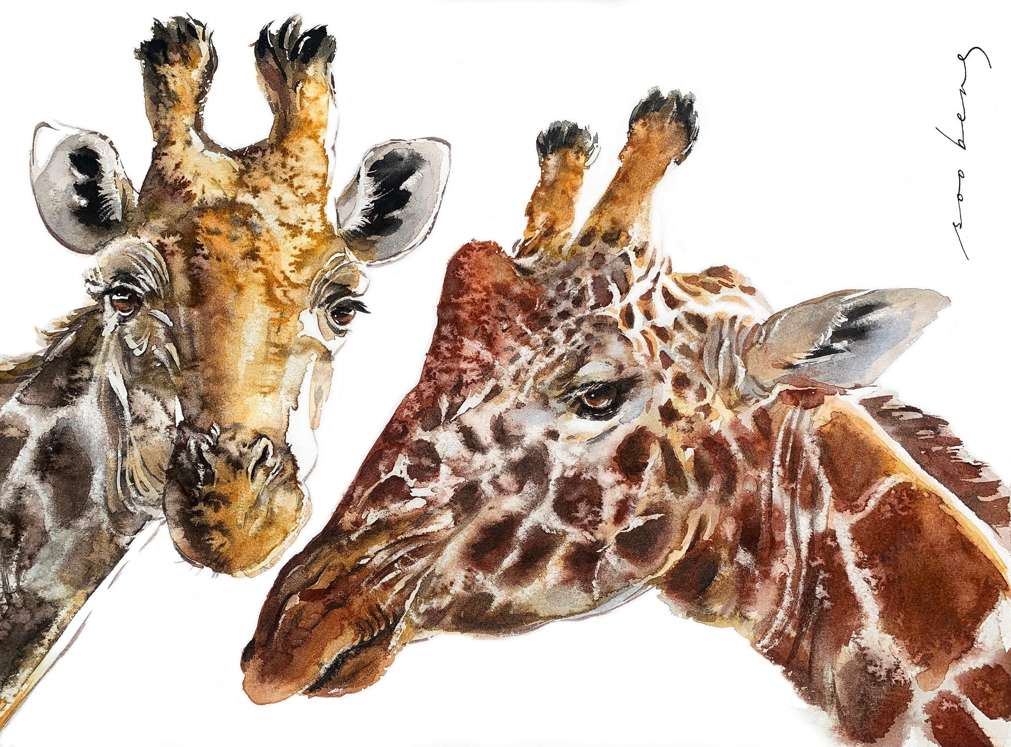 69164a62e1b8ea140711df10_the-gentle-giants-copy_1773175755428.jpg