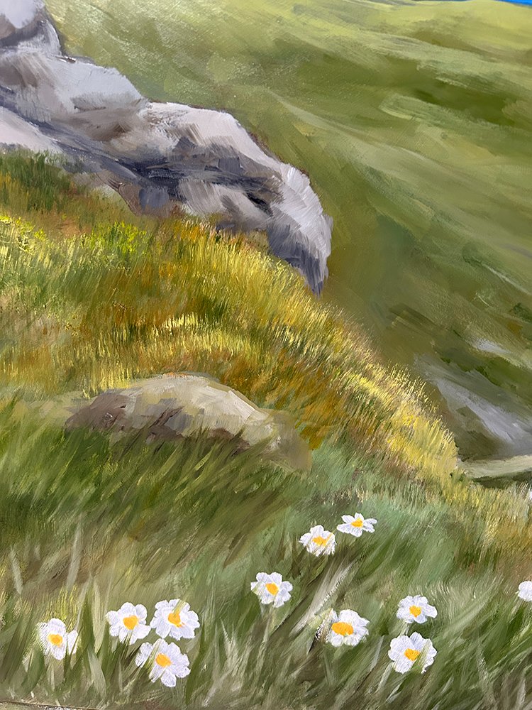 69164a62e1b8ea140711df10_the-high-country-detail-1_1778553463942.jpg