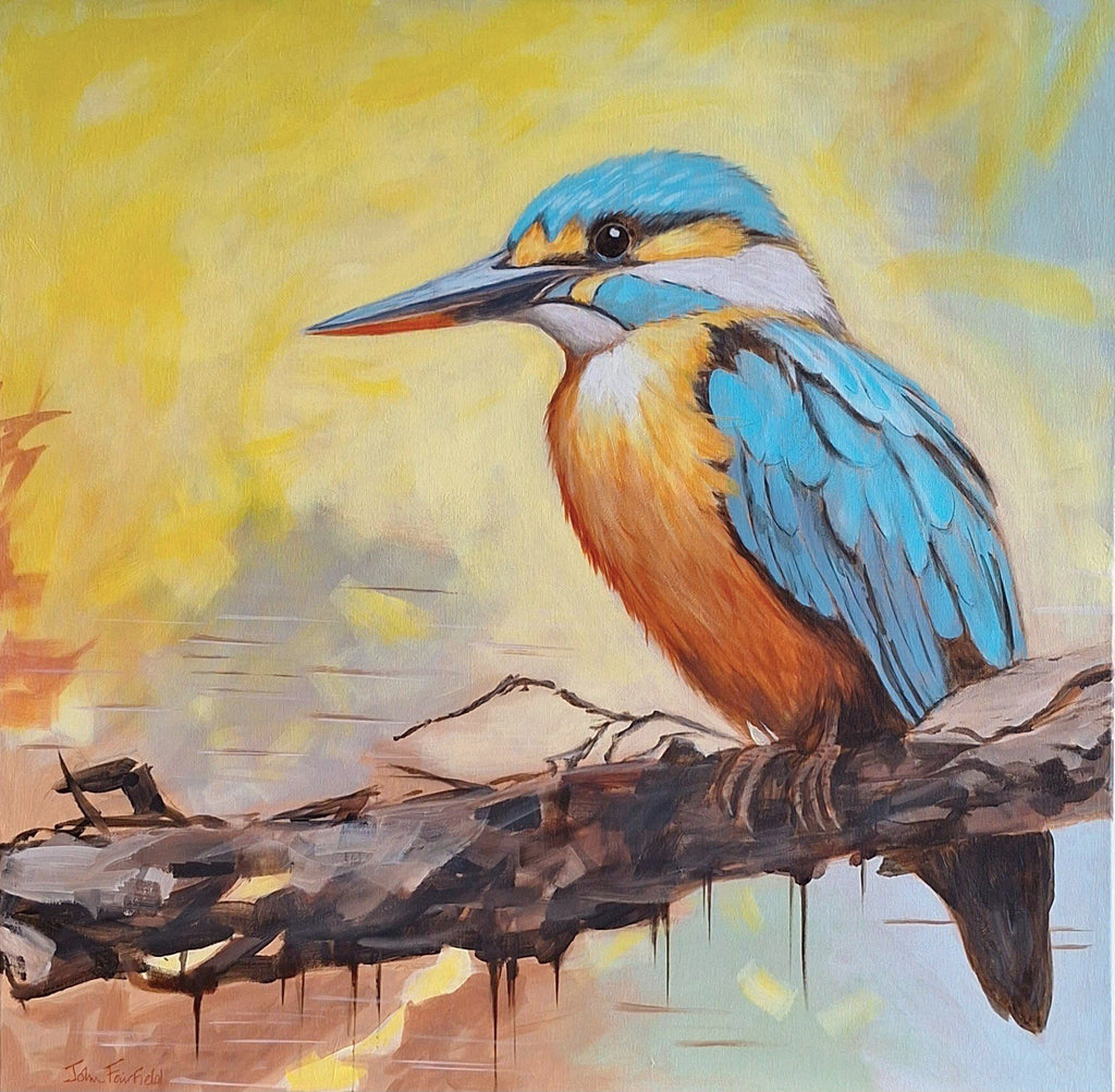 69164a62e1b8ea140711df10_the-kingfisher_1790292909789.jpg
