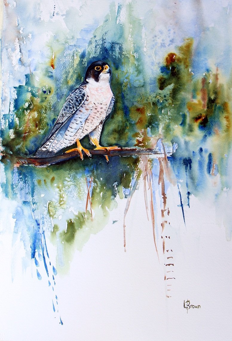 69164a62e1b8ea140711df10_the-peregrine-stare_1788139669727.jpg