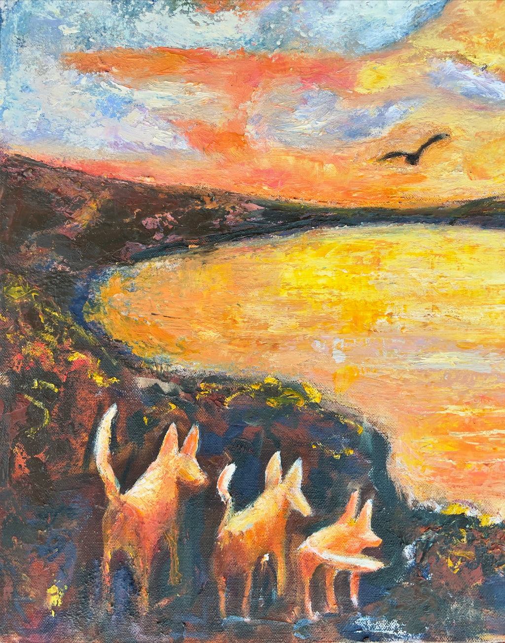 69164a62e1b8ea140711df10_three-dogs-at-sunrise-close-up-smap_1781740386347.jpeg