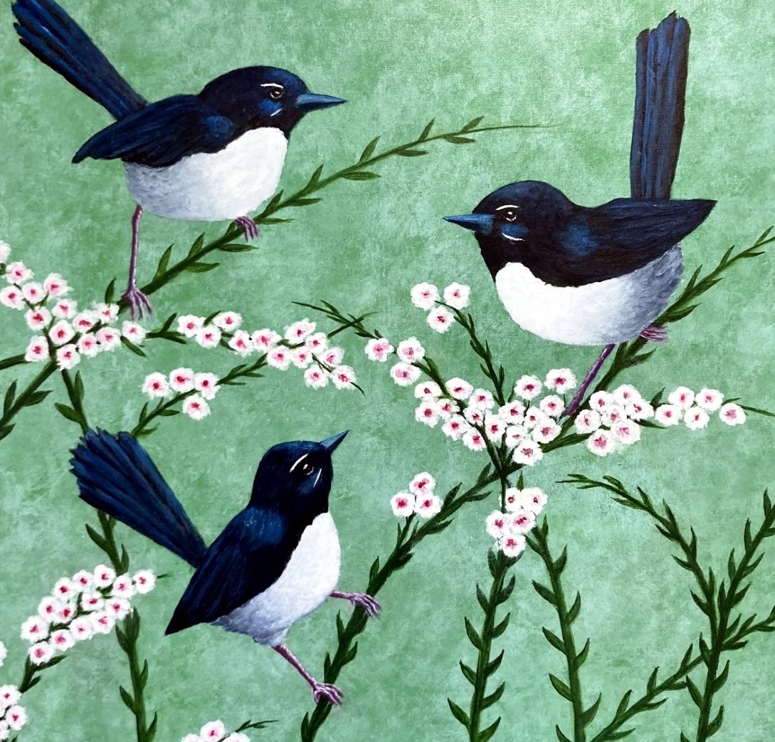 69164a62e1b8ea140711df10_three-willy-wagtails-cropped-for-canvas-print_1773112360099.jpg