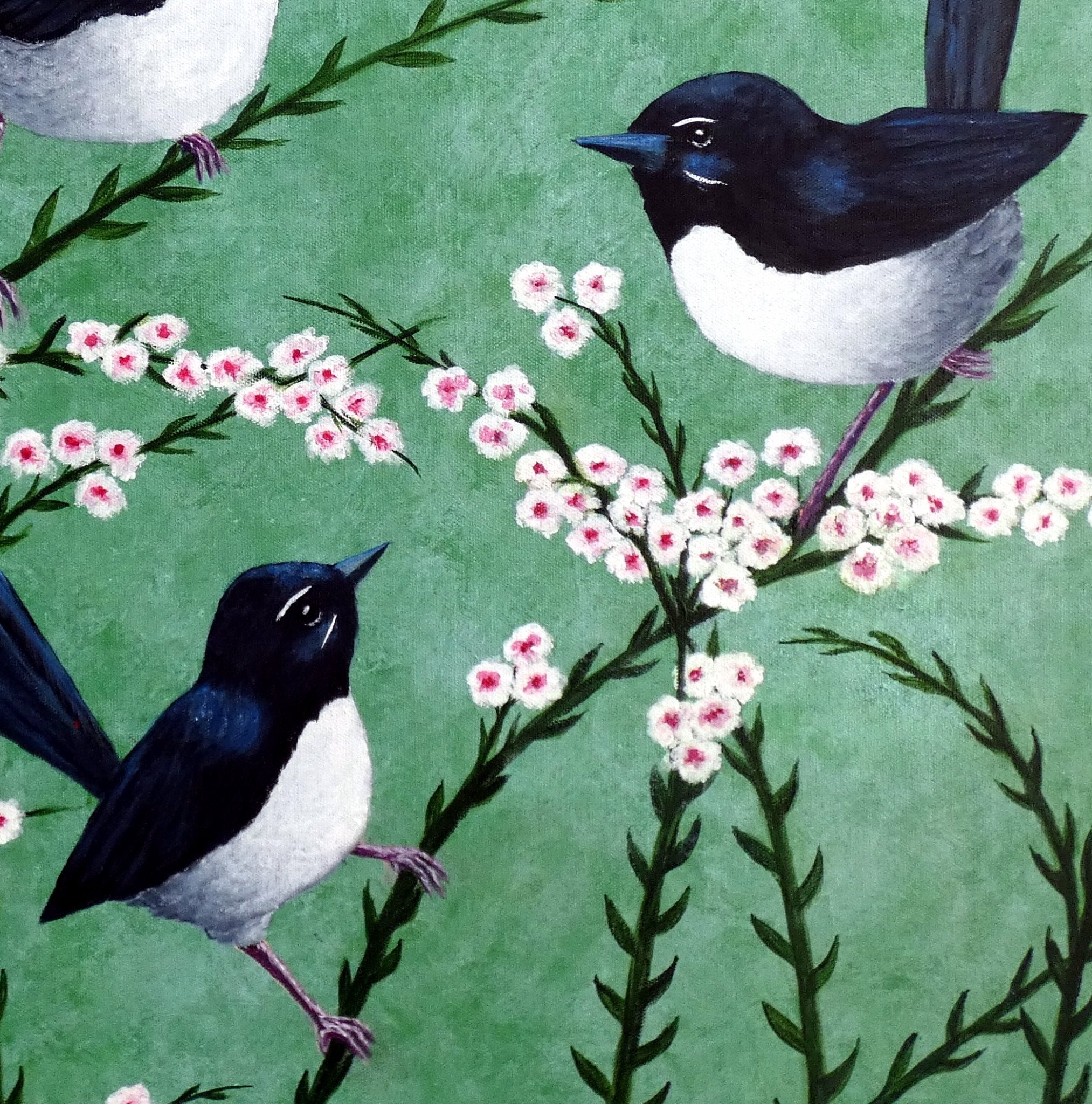 69164a62e1b8ea140711df10_three-willy-wagtails-cropped_1773112360099.jpg