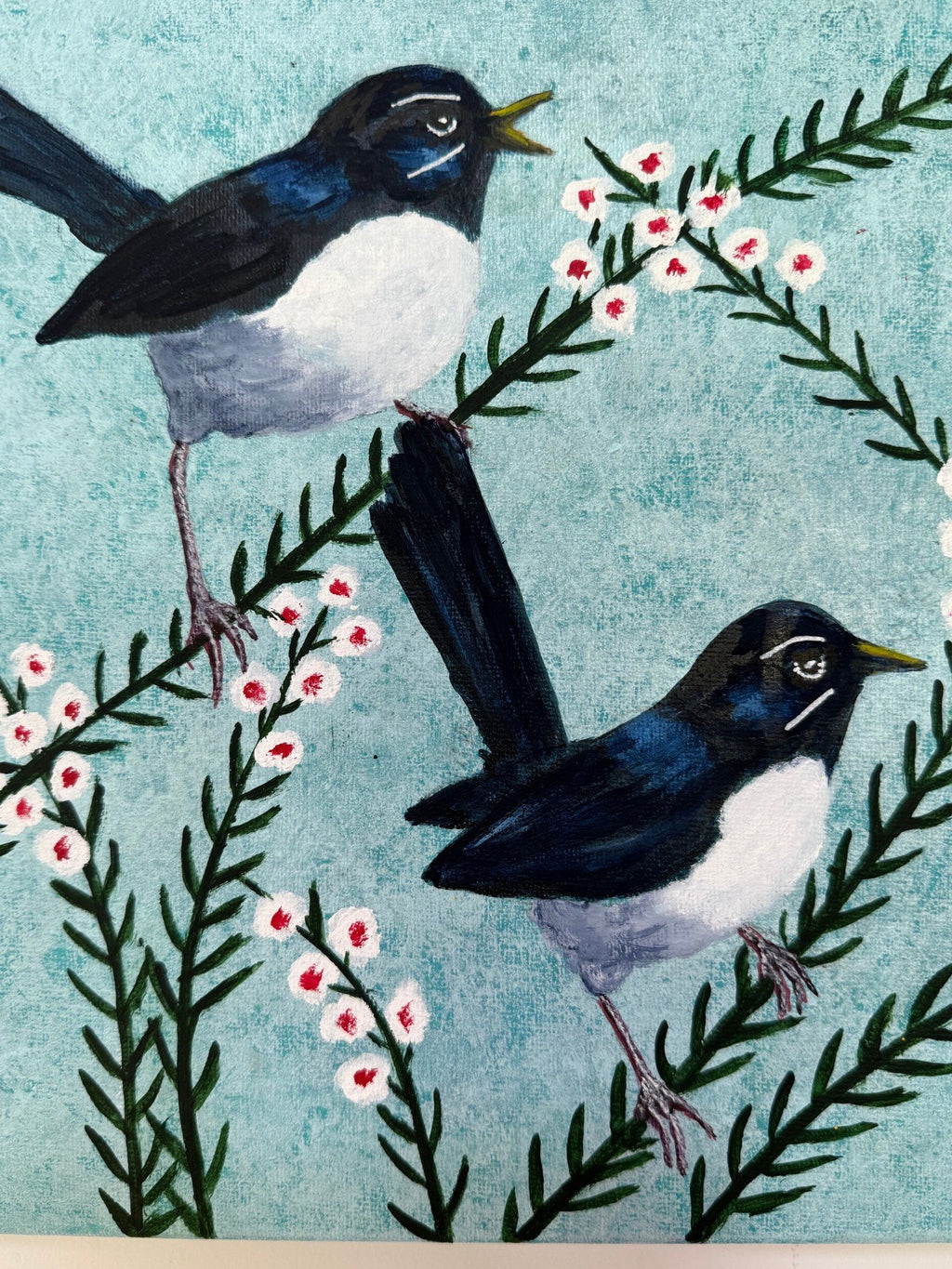 69164a62e1b8ea140711df10_three-willy-wagtails-geraldton-wax-cropped_1767341709924.jpg