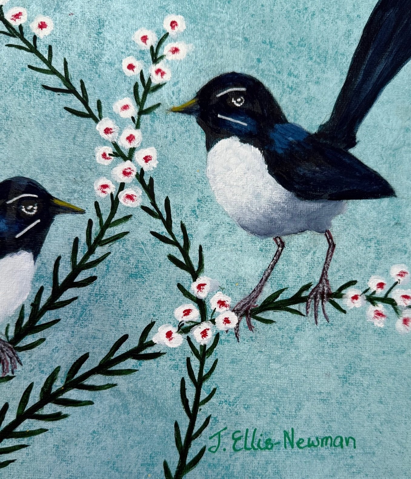 69164a62e1b8ea140711df10_three-willy-wagtails-with-geraldton-signature_1767341709924.jpg