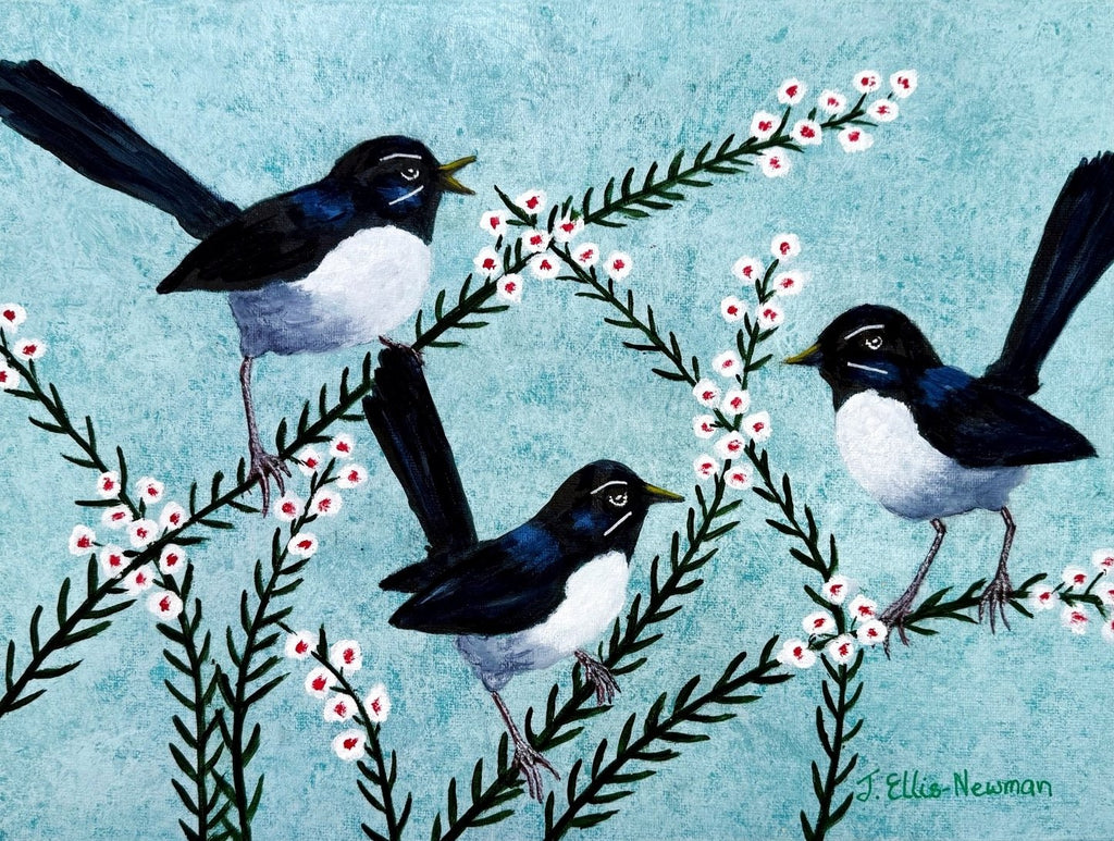 69164a62e1b8ea140711df10_three-willy-wagtails-with-geraldton-wax-no_1767341709923.jpg