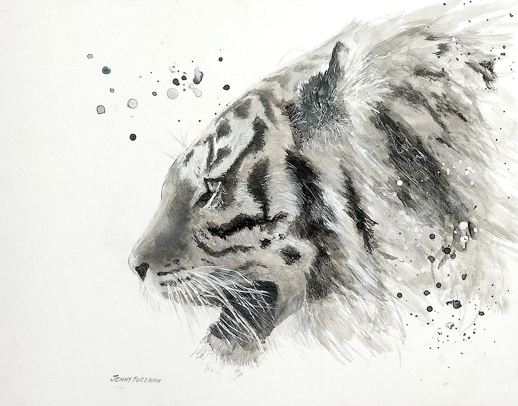 69164a62e1b8ea140711df10_tigergress-copy_1790397959609.jpg