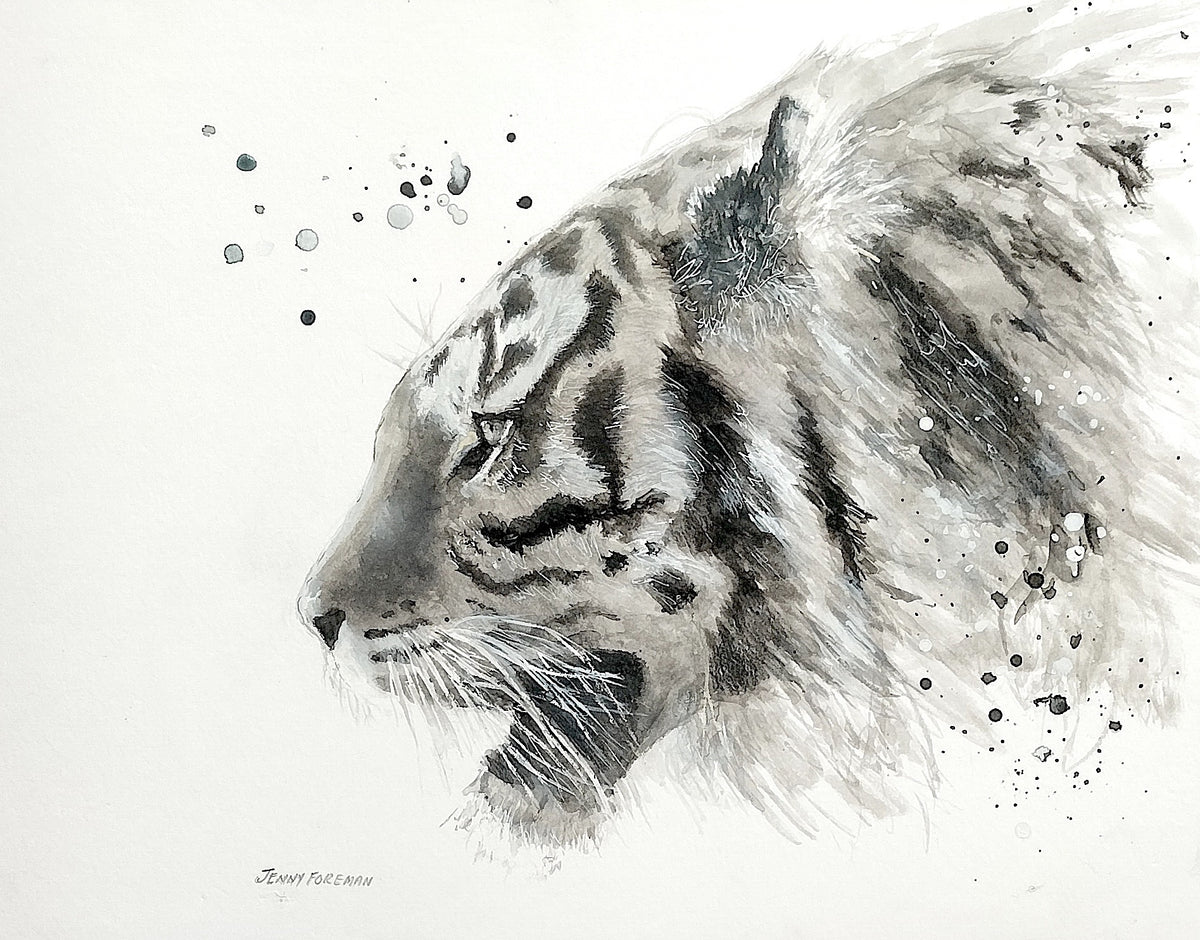 69164a62e1b8ea140711df10_tigergress-copy_1790397959609.jpg