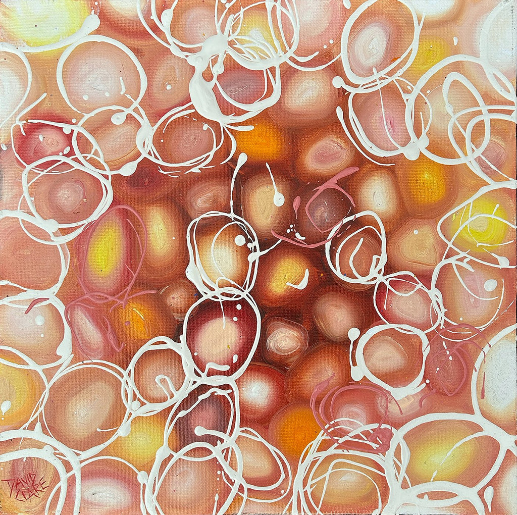 69164a62e1b8ea140711df10_tiny-pink-and-orange-pebbles-lr_1776715879628.jpg