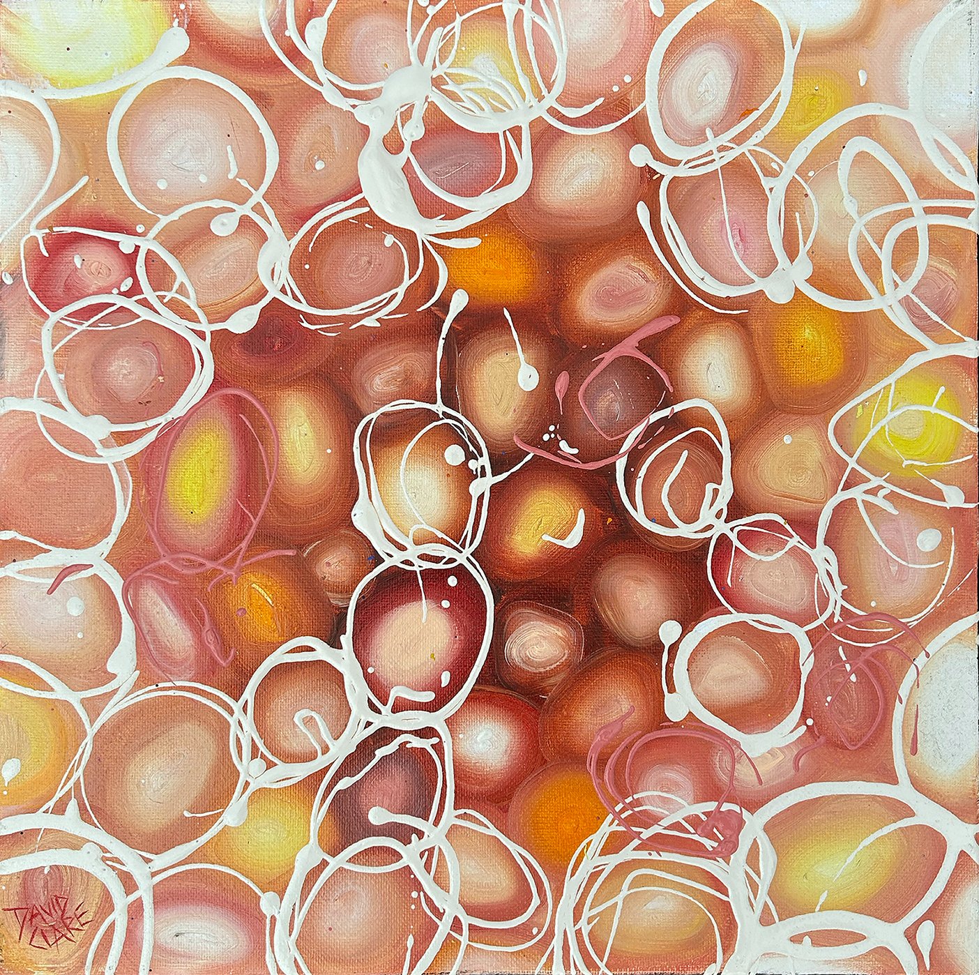 69164a62e1b8ea140711df10_tiny-pink-and-orange-pebbles-lr_1776715879628.jpg