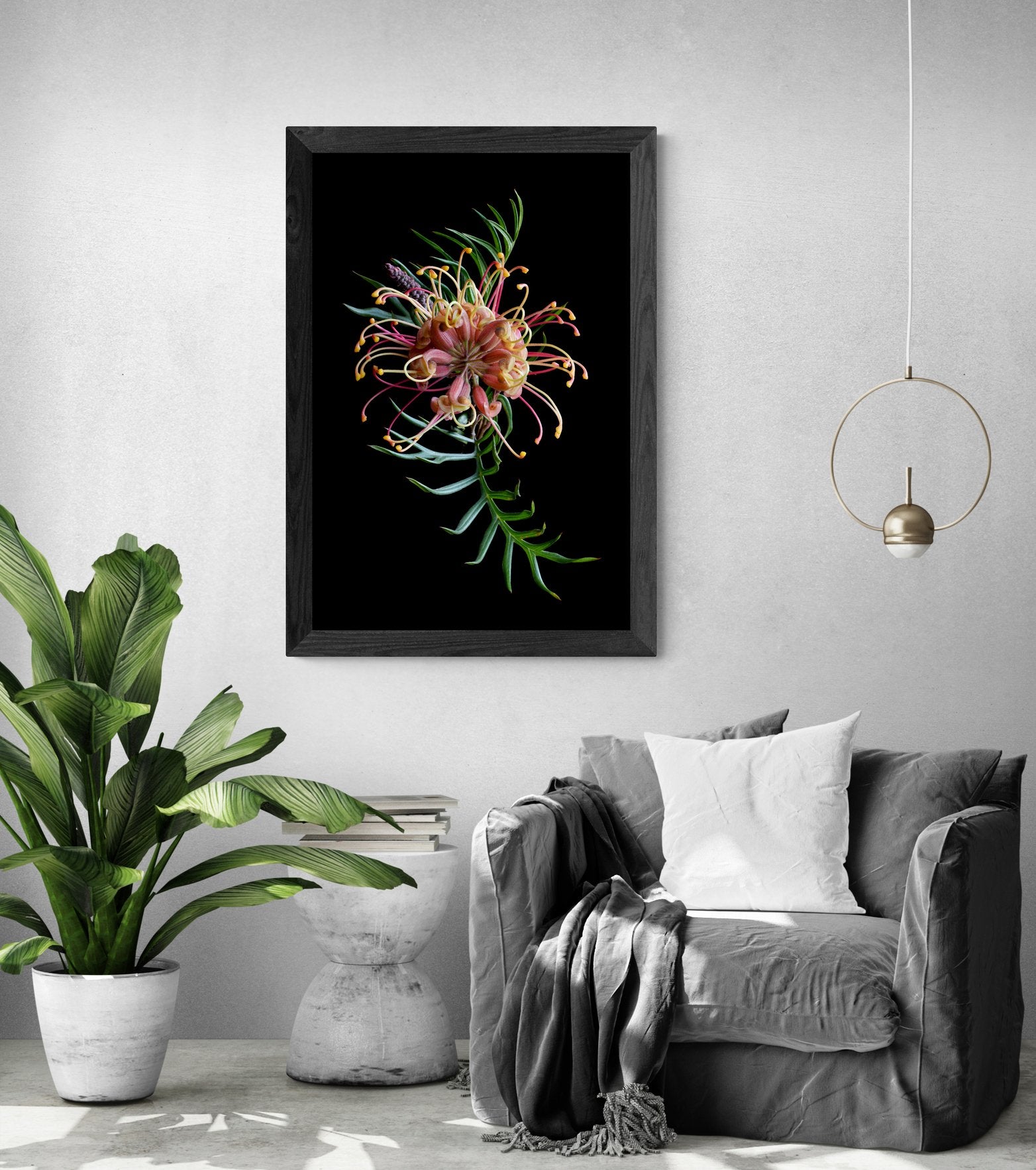 69164a62e1b8ea140711df10_tropical-living-room-with-chair-and-large-plant-10-_1781940389565.jpg