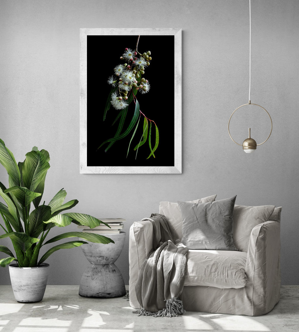 69164a62e1b8ea140711df10_tropical-living-room-with-chair-and-large-plant-6-_1783227528316.jpg