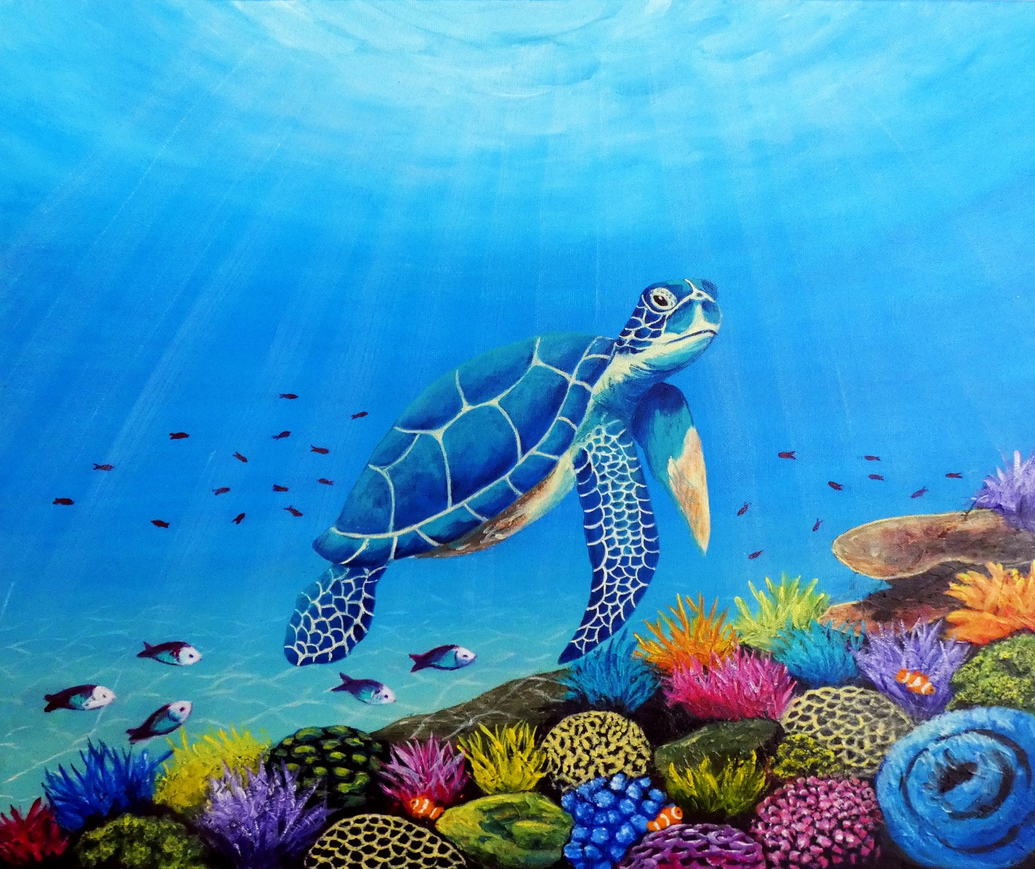 69164a62e1b8ea140711df10_turtle-3-main-by-camera_1775613737734.jpg
