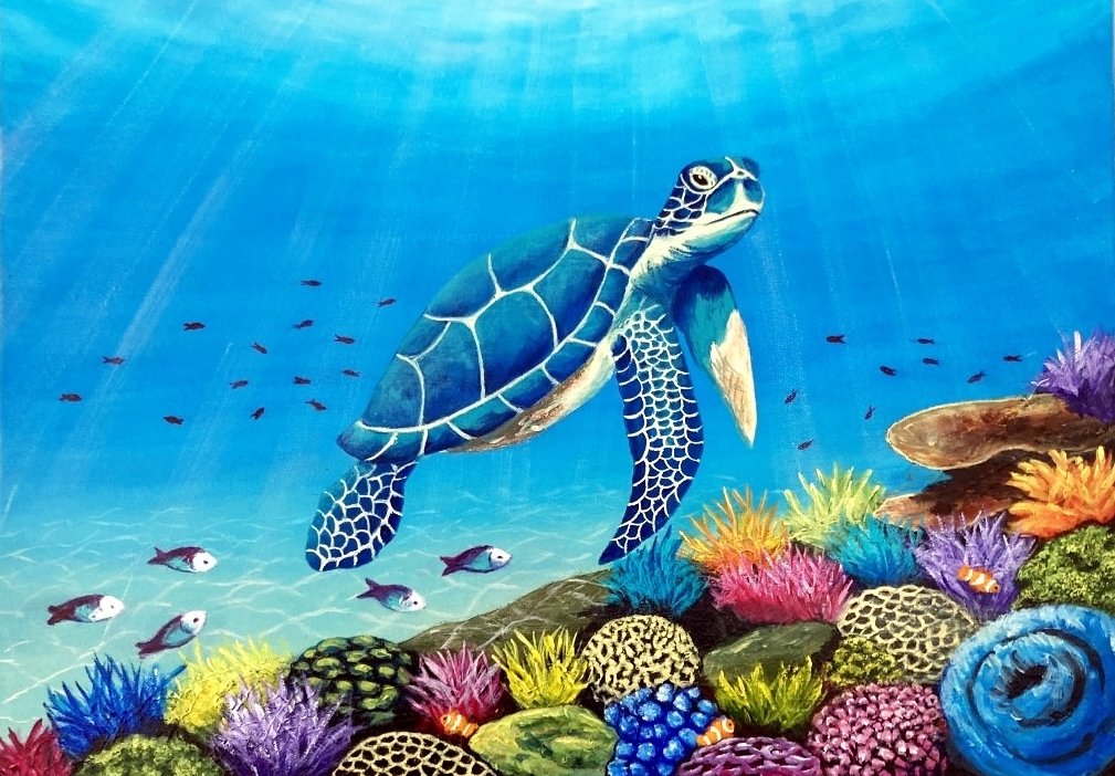69164a62e1b8ea140711df10_turtle-business-card_1775613737734.jpg