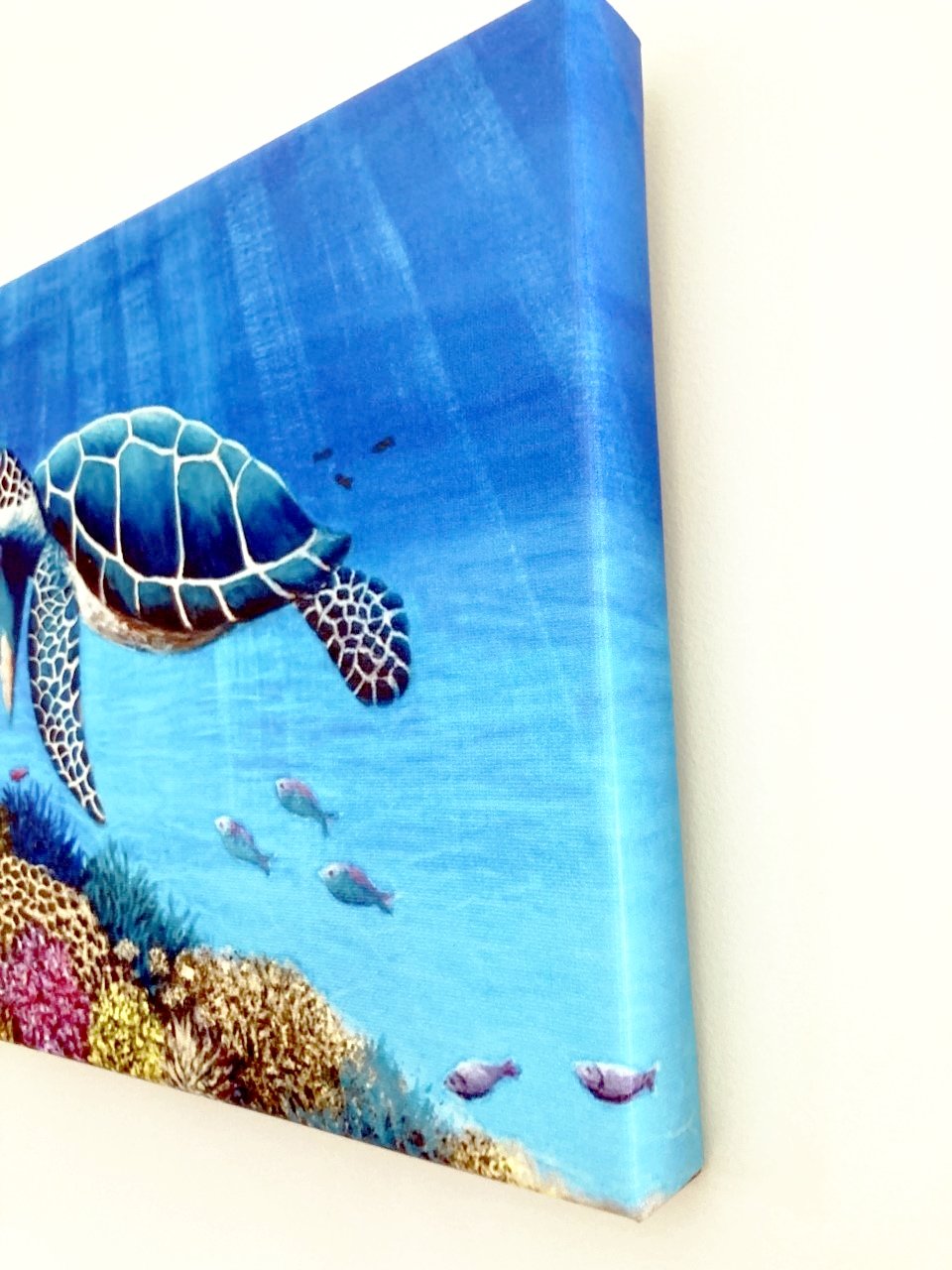 69164a62e1b8ea140711df10_turtle-canvas-side_1767756145181.jpg