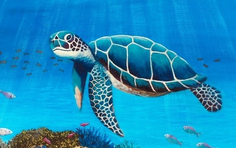 69164a62e1b8ea140711df10_turtle-cropped_1793007234248.jpg