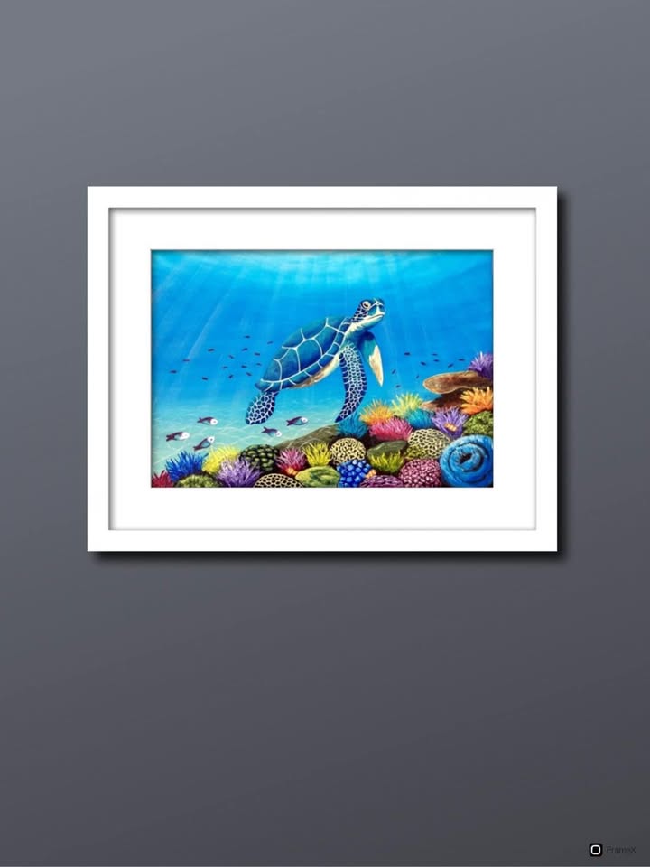 69164a62e1b8ea140711df10_turtle-hanging_1775613681578.jpg