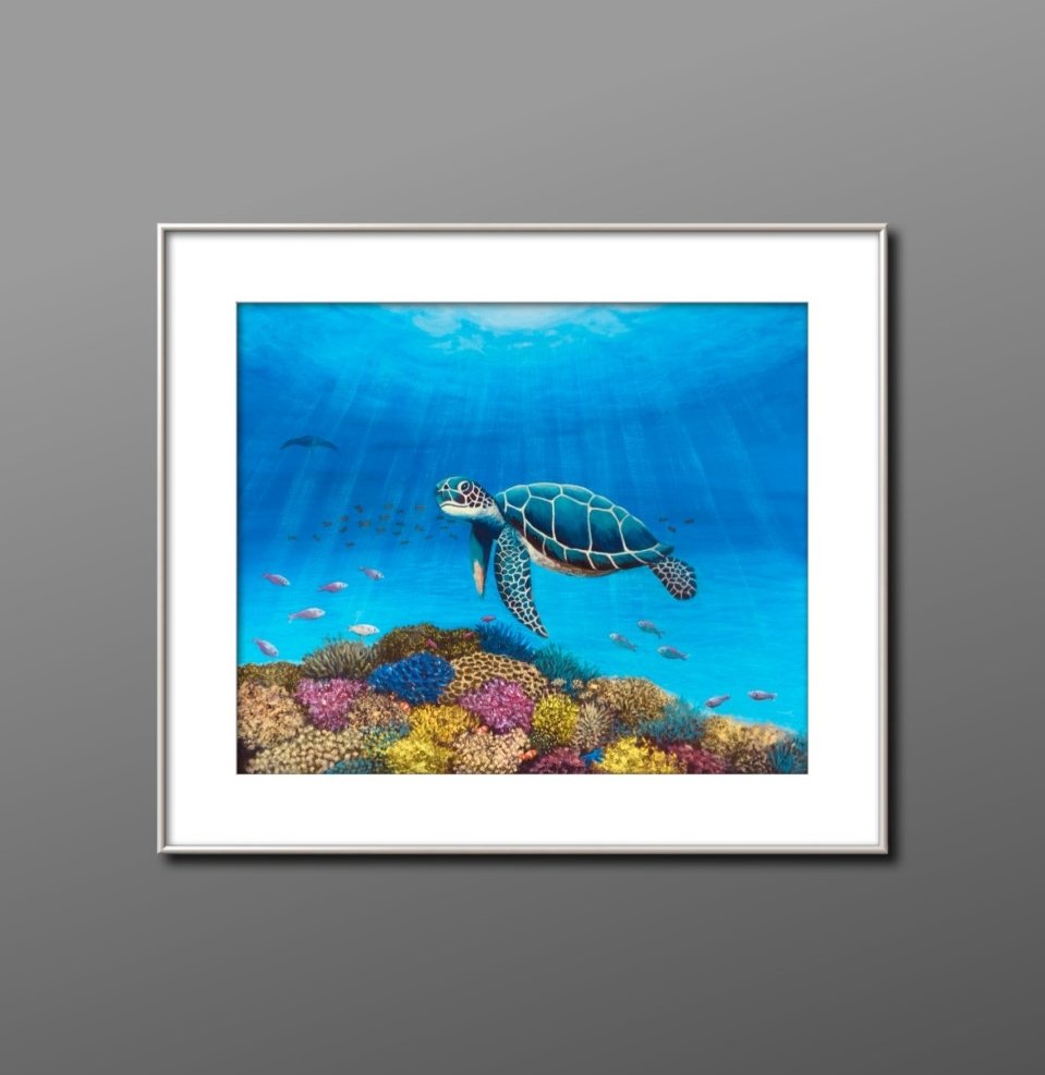 69164a62e1b8ea140711df10_turtle-in-frame-1_1793007234249.jpg