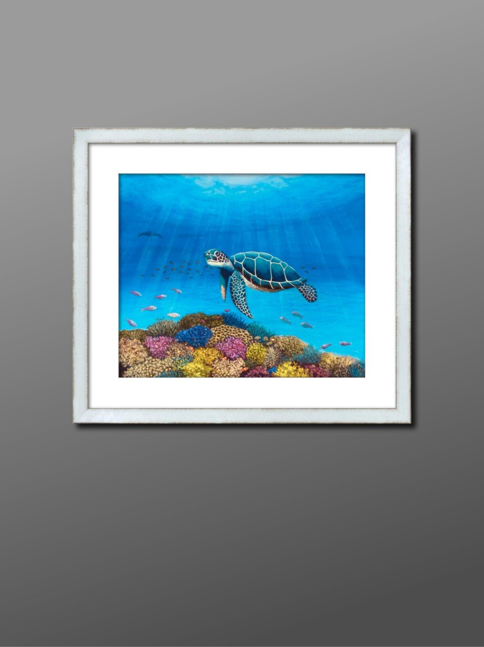 69164a62e1b8ea140711df10_turtle-in-frame_1793007274414.jpg