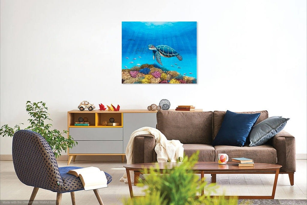 69164a62e1b8ea140711df10_turtle-in-situ-3_1793007194406.jpg