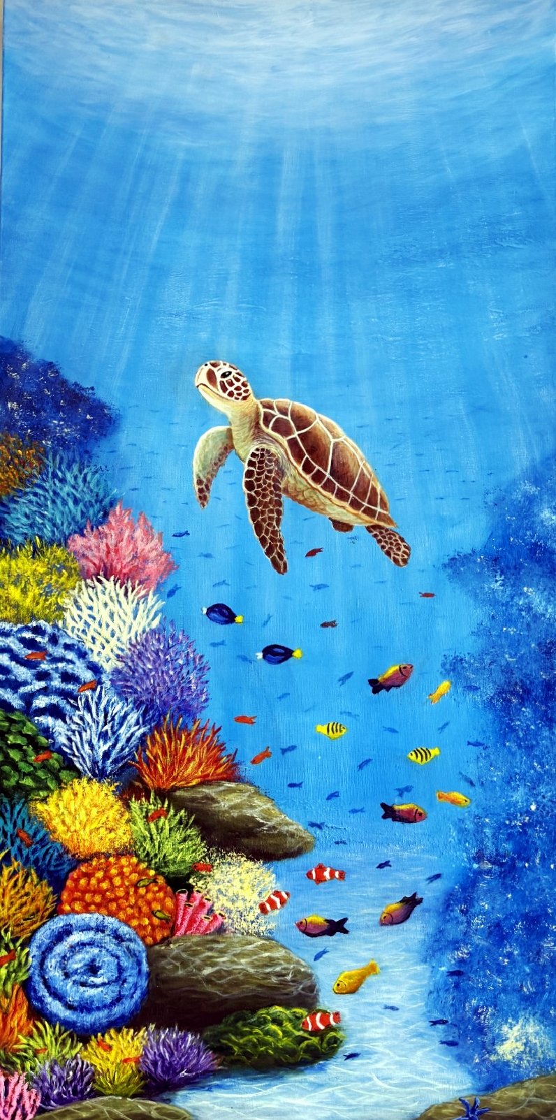69164a62e1b8ea140711df10_turtle-long-1_1791529775583.jpg