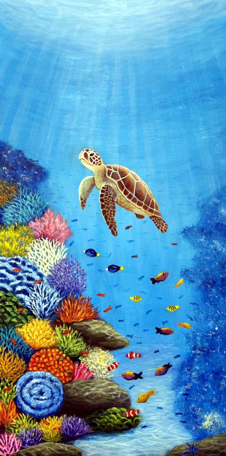 69164a62e1b8ea140711df10_turtle-long-2_1791529775580.jpg