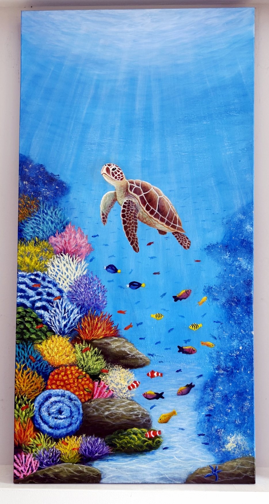 69164a62e1b8ea140711df10_turtle-long-hanging_1791529775582.jpg