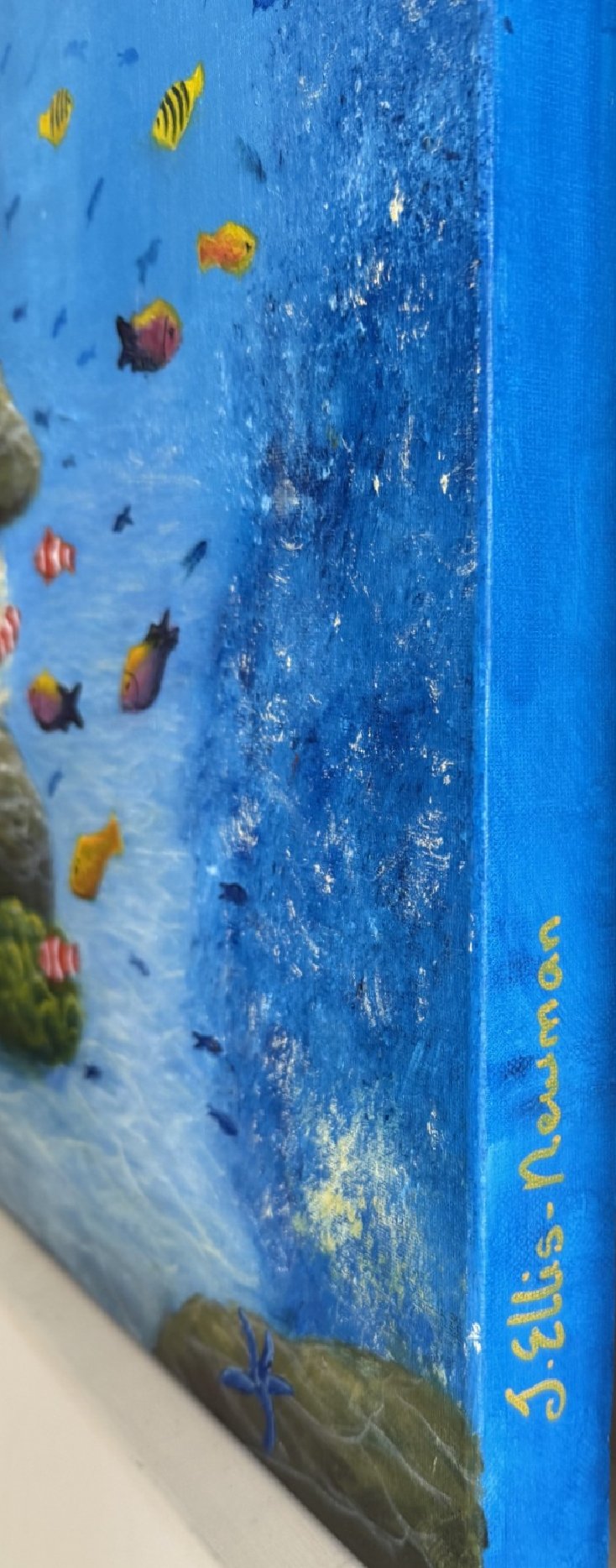 69164a62e1b8ea140711df10_turtle-long-side-view_1791529775582.jpg