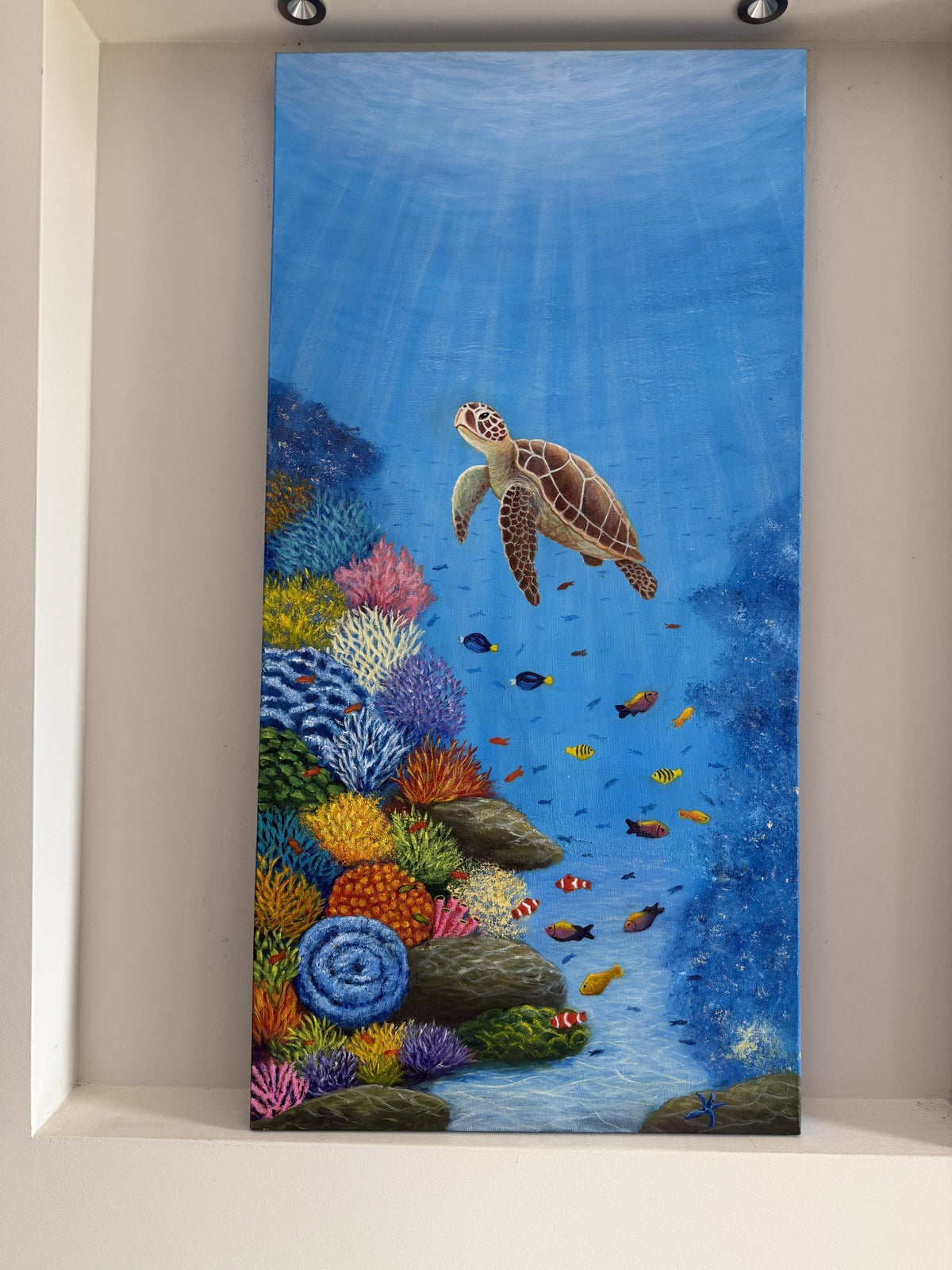 69164a62e1b8ea140711df10_turtle-long_1791529775583.jpg