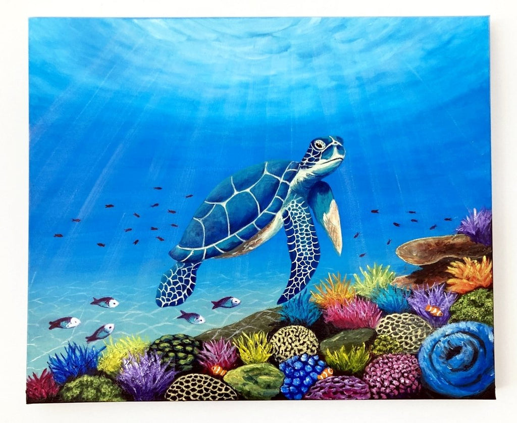 69164a62e1b8ea140711df10_turtle-new-hanging_1775613737734.jpg