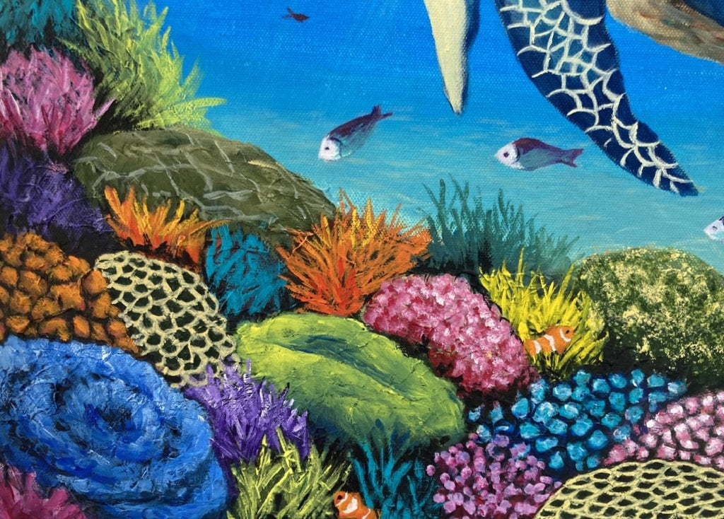 69164a62e1b8ea140711df10_turtle-no_1767756021361.jpg