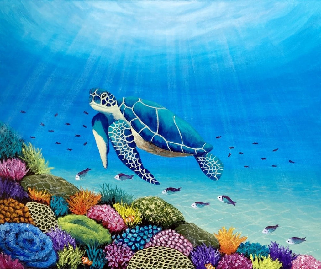 69164a62e1b8ea140711df10_turtle-no_1767756021362.jpg