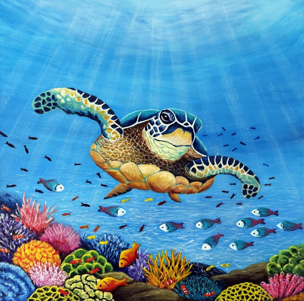 69164a62e1b8ea140711df10_turtle-square-canvas_1789877043511.jpg