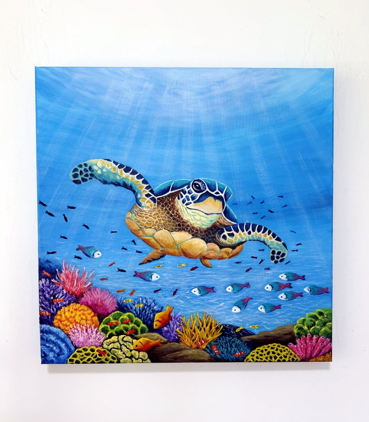 69164a62e1b8ea140711df10_turtle-square-hanging_1789877589925.jpg